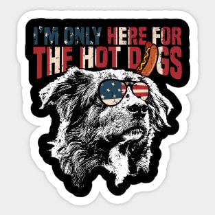 Australian Shepherd Shirt Funny 4th of July Sticker